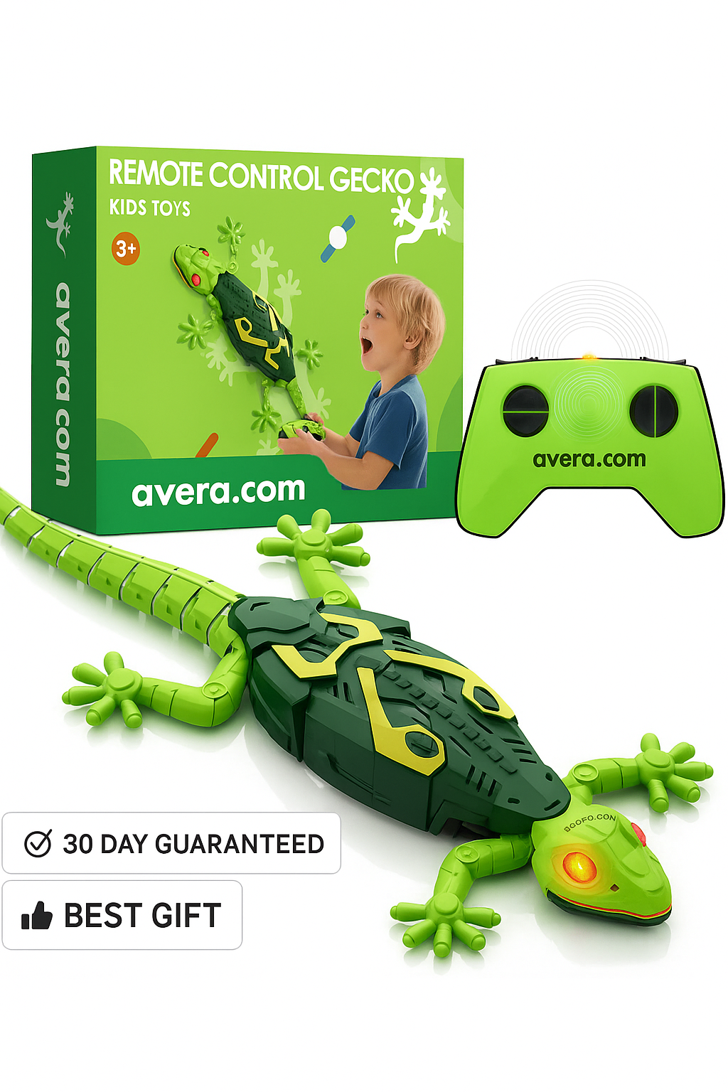 Wall Crawler Gecko - AVERA