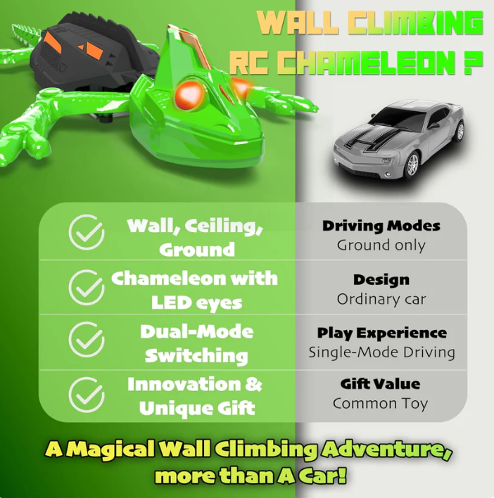 Wall Crawler Gecko - AVERA