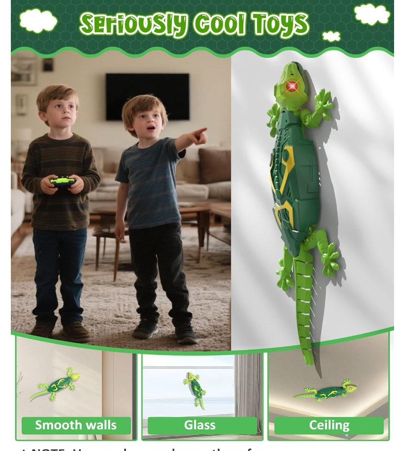 Wall Crawler Gecko - AVERA